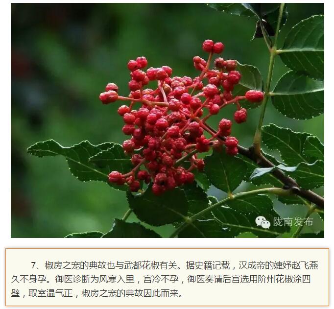 蘭渝鐵路最早由孫中山先生提出？在隴南，你不知道的事兒還有……