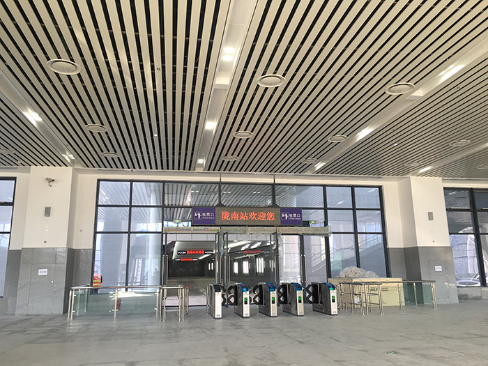 全國(guó)、省市政協(xié)委員體驗(yàn)蘭渝鐵路、視察階州廣場(chǎng)