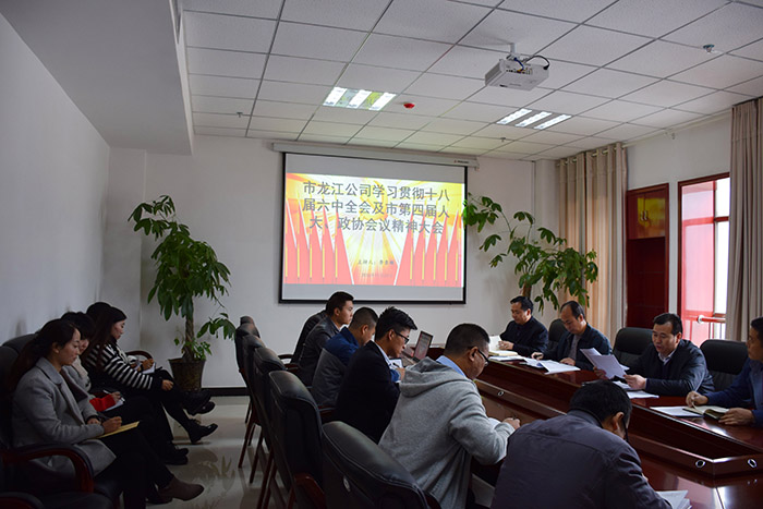 市龍江公司召開(kāi)全體員工大會(huì)，專題傳達(dá)學(xué)習(xí)上級(jí)會(huì)議精神