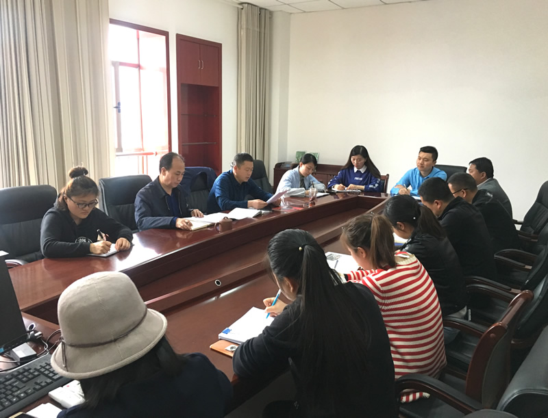 市龍江城鄉(xiāng)發(fā)展集團(tuán)專題學(xué)習(xí)近期中央、省、市紀(jì)律檢查委員會議精神