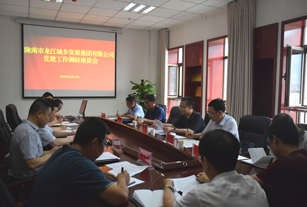 隴南市委常委、組織部部長楊郃調(diào)研指導(dǎo)市龍江城鄉(xiāng)發(fā)展集團公司黨建工作