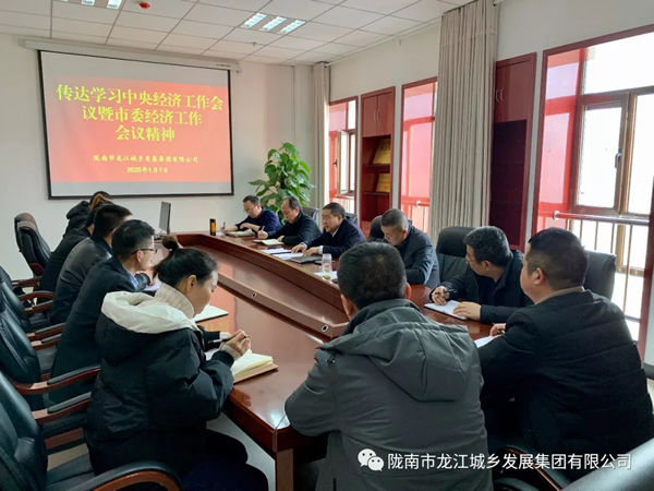 市龍江集團傳達學(xué)習(xí)市委四屆十次全會暨市委經(jīng)濟工作會議精神