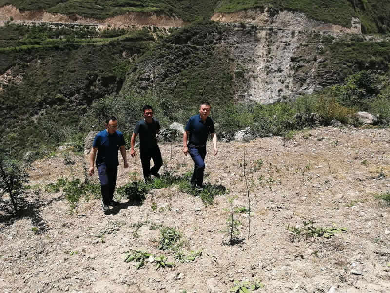 “感黨恩、憶黨史”，--市龍江城鄉(xiāng)發(fā)展集團(tuán)公司開展慶祝建黨99周年主題黨日活動(dòng)